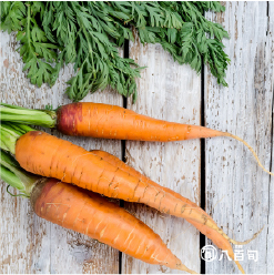 【京都府産】人参