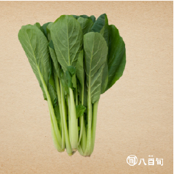 【今が旬甘みが特徴】小松菜